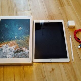 美品ipad pro 12.9インチ　2世代 SIMフリー対応 512GB 純正apple pencil付き