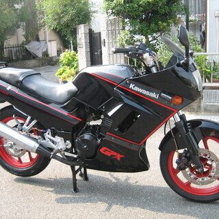 GPX250R 超 綺麗です　の画像