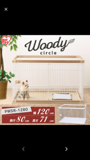 新品 ウッディーサークル