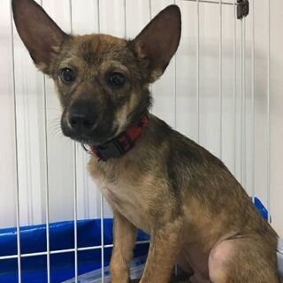 里親さま、決まりました(^^)