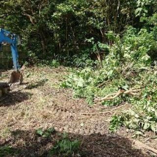 開墾 開拓 畑 伐採 ユンボ作業 − 沖縄県