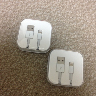 LightninApple iPhone 純正2本