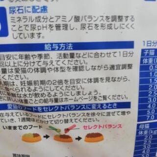子猫餌　未開封の画像