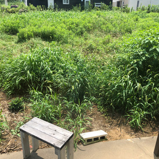 草刈りお願い出来ませんでしょうか？