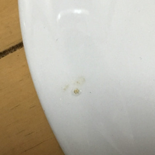 昭和レトロなミカサ洋皿中2枚 の画像