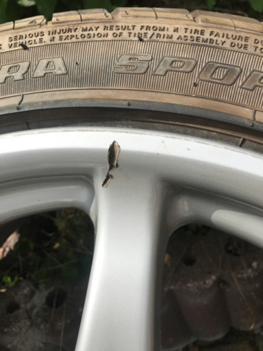 SSR インテグラル A2 2本