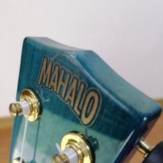 コンサートウクレレの画像