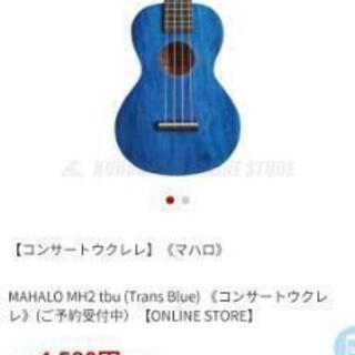 コンサートウクレレの画像