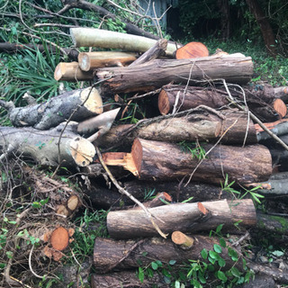 8/9まで先着3名無料！薪ストーブに！★積み放題 大網白里の画像