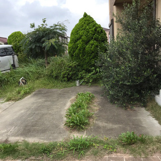 🌴草刈り.伐採.スタッフ大大募集中🌴友達と応募大歓迎❗️初めての方も大歓迎🌴の画像