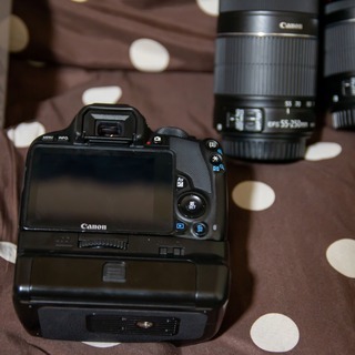 【美品】EOS Kiss x7/100Dカスタム Wズームレンズの画像