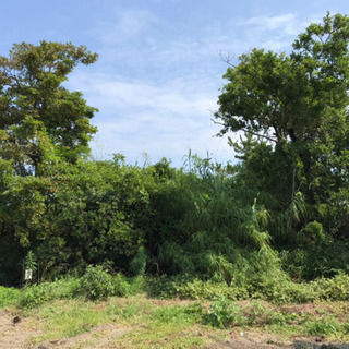 🌴草刈り.伐採.スタッフ大大募集中🌴友達と応募大歓迎❗️初めての...