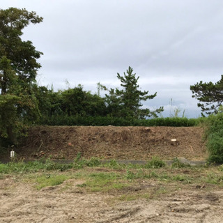 🌴草刈り.伐採.スタッフ大大募集中🌴友達と応募大歓迎❗️初めての方も大歓迎🌴の画像