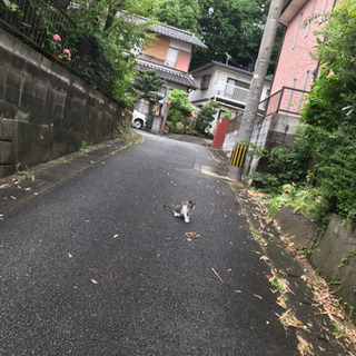 解体作業 土だし 補助 日払い 