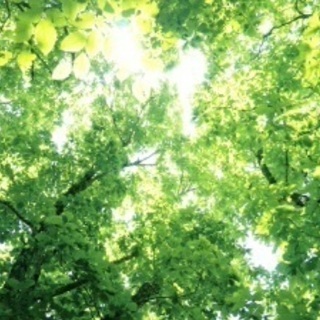 早朝ウォーキング✨