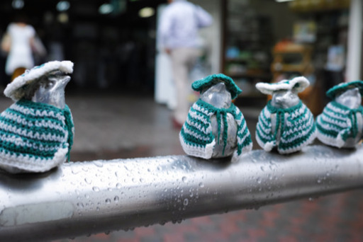 【おまけ付き！】SIGMA dp2 Quattro