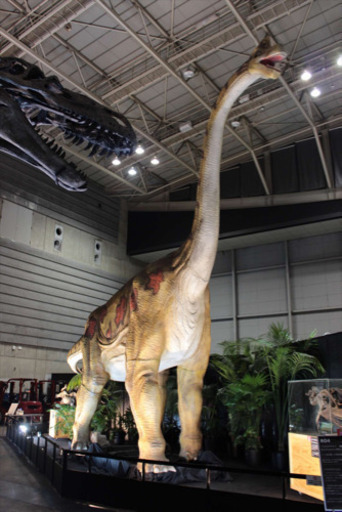 購入金額3000万円！超巨大！ど迫力！歴史記録の実物大 恐竜 フィギュア