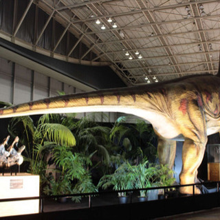 購入金額3000万円！超巨大！ど迫力！歴史記録の実物大 恐竜 フィギュア