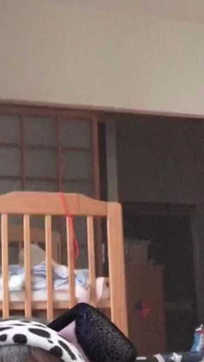 解体済みのため 写真がこれしかありません?