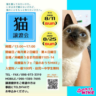 譲渡会のお知らせ