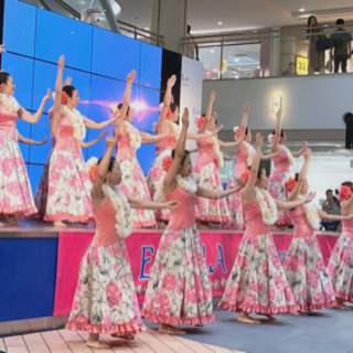 津田沼でフラダンス🎶無料体験、見学募集中！