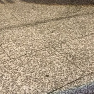 水木ロード散策してみませんか - 境港市