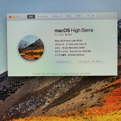 Apple iMac21.5inch-late2013 増設BTO 【管理番号C02NWL8】