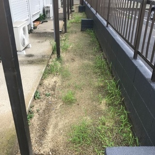 アパート敷地内の雑草取り