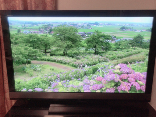SONY 液晶デジタルテレビ