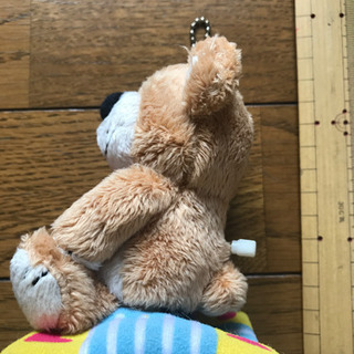 ✅スージーズー🐻キーホルダーの画像