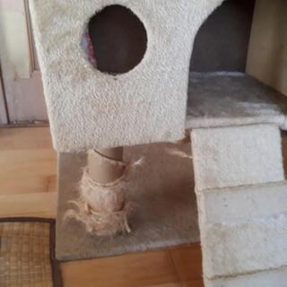 キャトタワー中古　決まりましたの画像