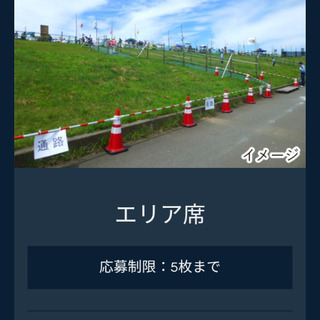 長岡 花火 エリア席4枚 2019年 8/2(金)の画像