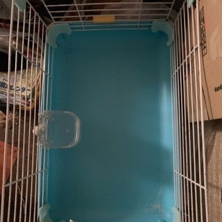 ⭕️ペット用品♪小動物ゲージ モルモットや仔犬なども❗️の画像