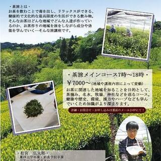 ±を中心に色々な分野が学べるお茶講座です