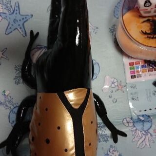 ヘラクレスカブトムシ☆
