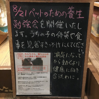 ＜8月21日＞わんちゃん、猫ちゃんの心と身体と魂のお話会は「夏バテ対策」！の画像