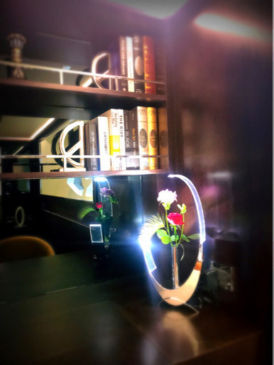 LED  FLOWER VASE
