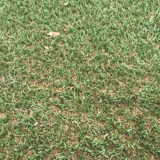 【エンジョイレベル募集】中野区 平和の森公園 　 8/12(月)15:00〜19:00 - 中野区