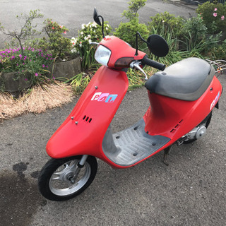 ホンダ パル 綺麗な車体の画像