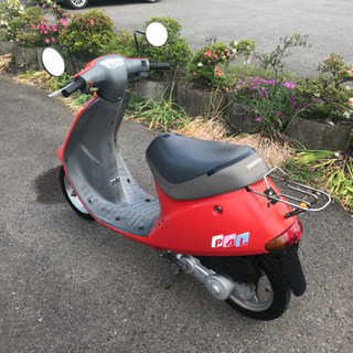 ホンダ パル 綺麗な車体の画像