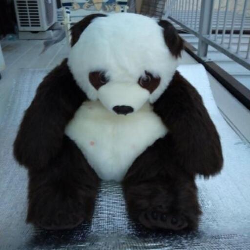 パンダ  特大 出産祝いに ！