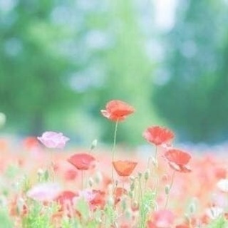 ★生きる指針★不足しがちな現代人へ～ブッダからのアドバイス