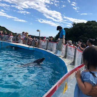 夏らしいこと - 町田市