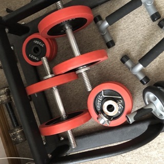 懸垂台、ダンベル40kg、ezバーセットの画像