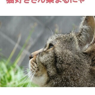 猫好きの会