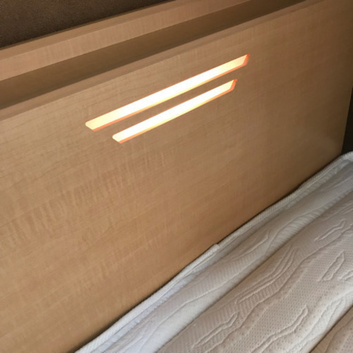 France Bed フランスベッド RECLINIG BED 電動リクライニングベッド NJ-RX