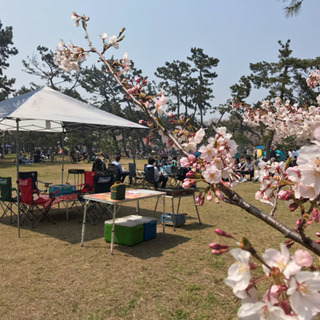 バーベキュー宅配☆設置スタッフ大募集♫の画像