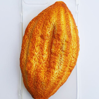 iPhone 8plus / 携帯ケース