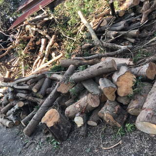8/9まで先着3名無料！薪ストーブに！★積み放題 大網白里の画像