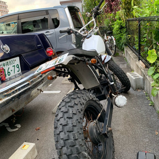キャデラック ブロアム96   &  TW225 の画像